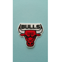 ţͷ bulls 